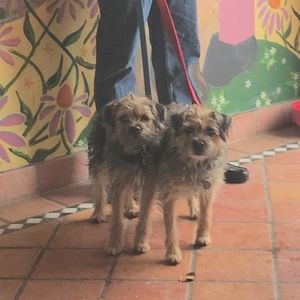 Meet your Posher, Jayme